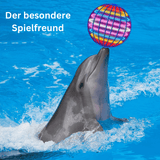 Flouball - Dein schwebendes Spielerlebnis
